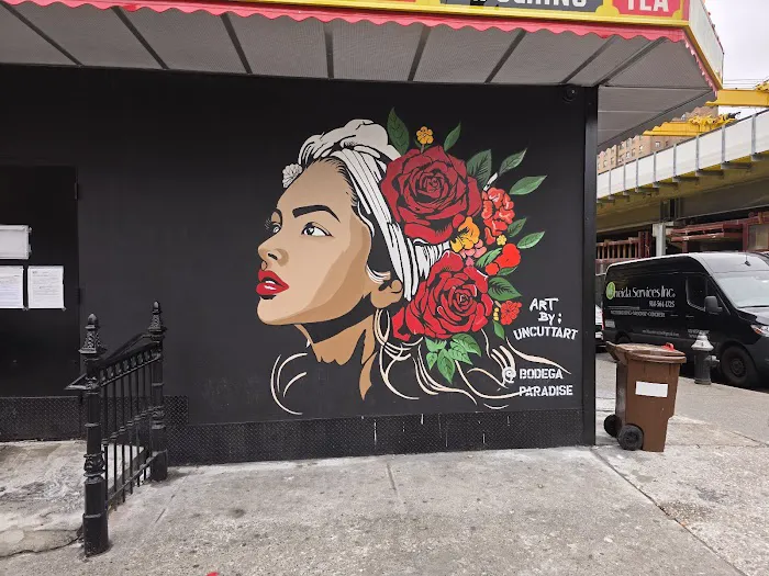 Bodega Paradise Picture 6