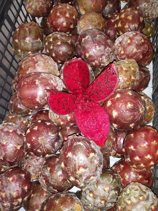 Vaquero Deli Grocery Picture 7
