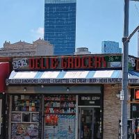 242 deli corporation ico