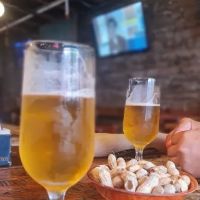 Mad Donkey Beer Bar & Grill ico