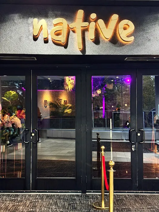 Native Harlem Picture 5