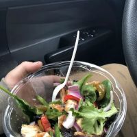 Pleasant Food ico