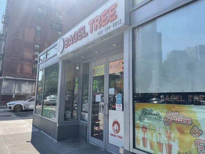 Bagel Tree Picture 10