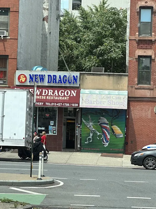 New Dragon Picture 2