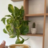 BLND Coffee Studio ico