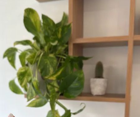 BLND Coffee Studio