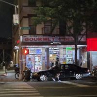 Gourmet and Deli ico