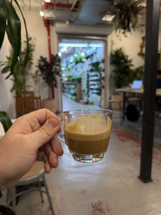 MUSHTARI COFFEE SHOP Picture 2