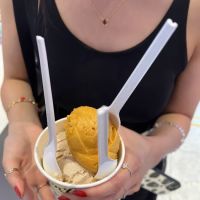 Van Leeuwen Ice Cream ico