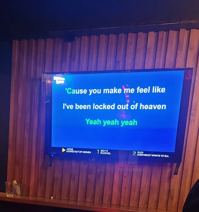Karaoke Shout Picture 2