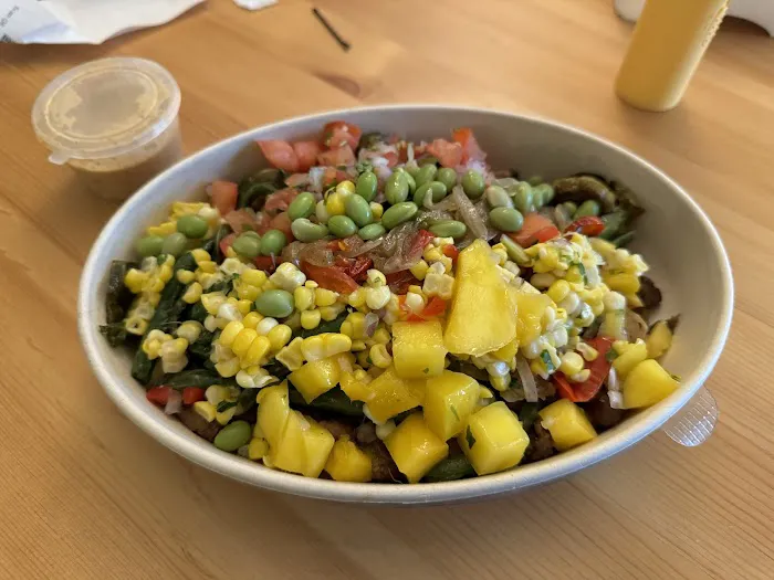 Fresh Bowl Go Picture 1
