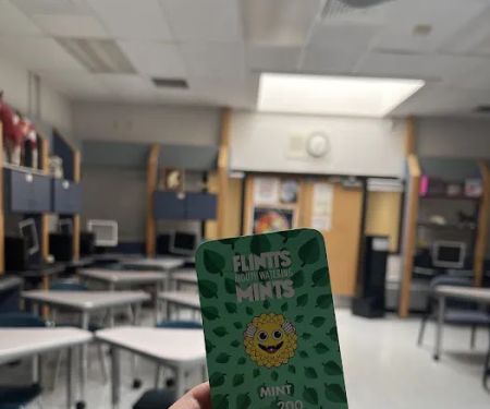 Flintts Mouth Watering Mints