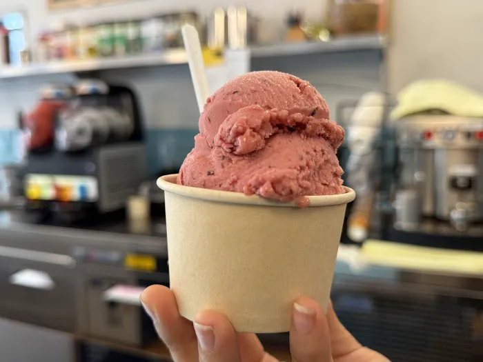 Arcobaleno Gelateria NYC Picture 7
