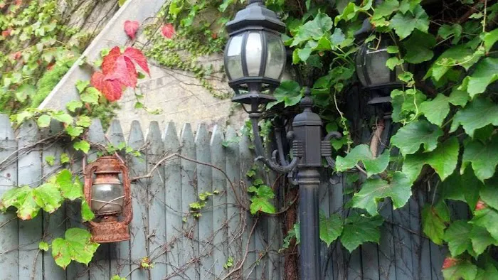 Flynn's Garden Inn Picture 8