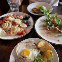 VITE vinosteria ico
