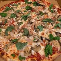 Taste of Italy Pizza Restaurant ico