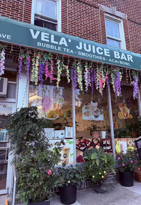 Vela Juice Bar Picture 2