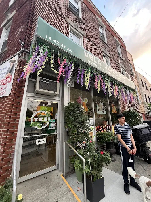 Vela Juice Bar Picture 6