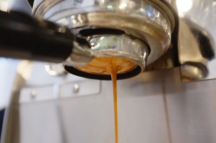 Olive Coffee Picture 2