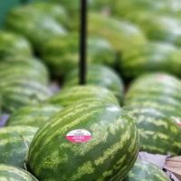 Apple House Juice Bar ico