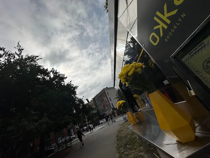 Okka Brooklyn McCarren Park Picture 10