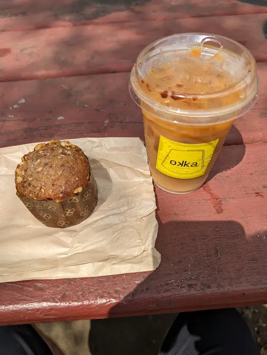 Okka Brooklyn McCarren Park Picture 1