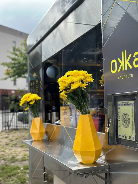 Okka Brooklyn McCarren Park Picture 5