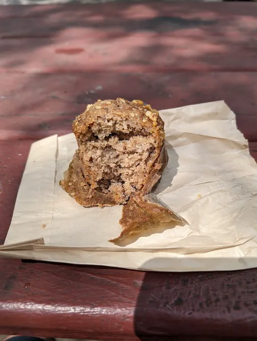 Okka Brooklyn McCarren Park Picture 7
