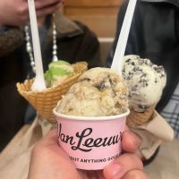 Van Leeuwen Ice Cream ico