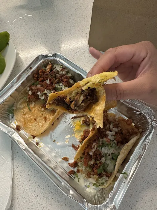 Taqueria El Chato Picture 6