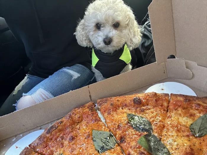 Chrissy’s Pizza Picture 6