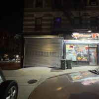 Organic At Amsterdam deli ico