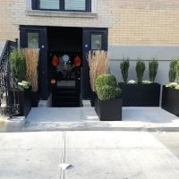 Alibi Lounge ico