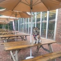 Blank Street Coffee ico