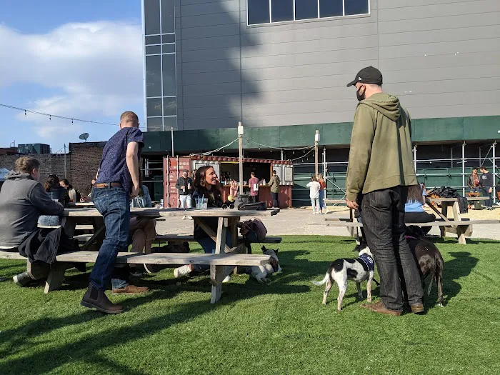 Bark Park Picture 5