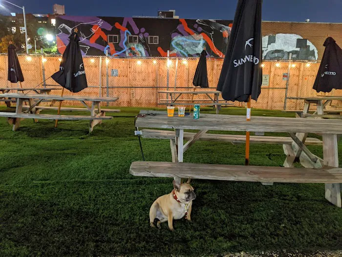 Bark Park Picture 3