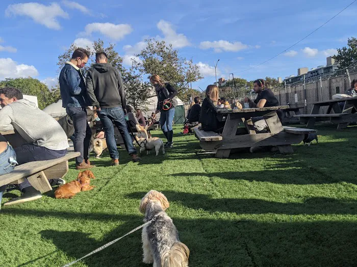 Bark Park Picture 4