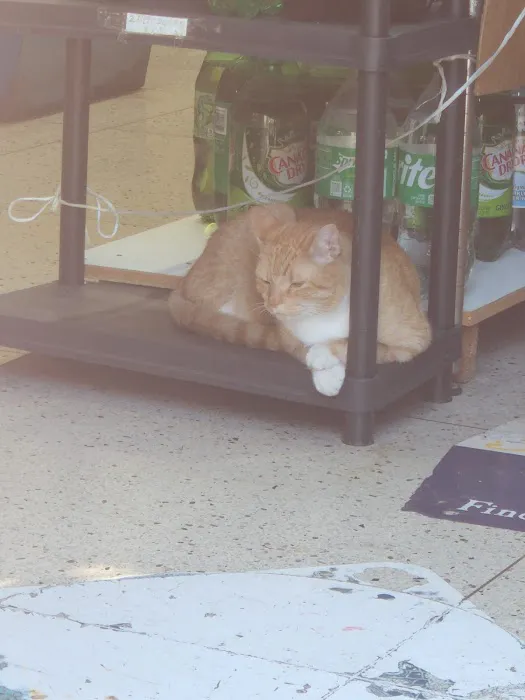 Mary's Deli Grocery Inc Picture 4