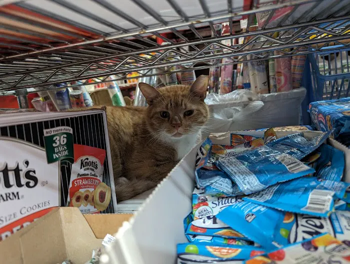 Mary's Deli Grocery Inc Picture 10