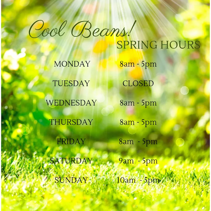 Cool Beans! Coffee House Picture 10
