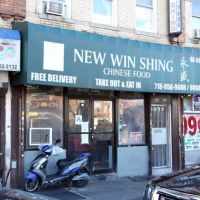 New Win Shing ico