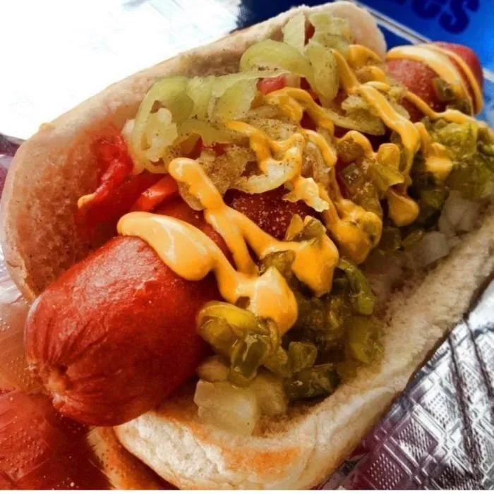 Eks Food Truck Papas food truck Picture 3