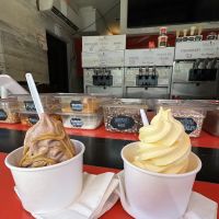 Marvel Frozen Dairy ico