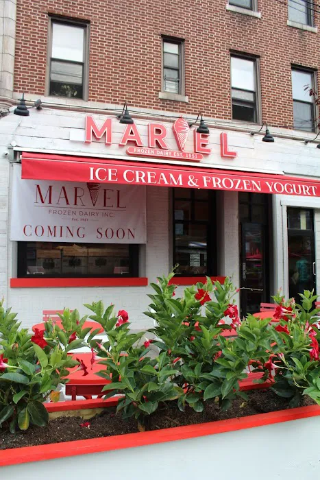 Marvel Frozen Dairy Picture 6