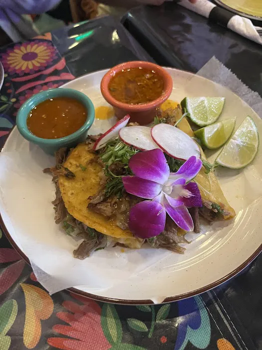 Mama Coco Taqueria & Cevicheria Picture 6