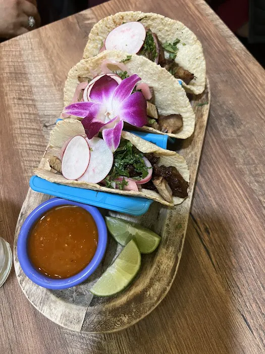 Mama Coco Taqueria & Cevicheria Picture 4