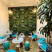 Cafe Renis ico