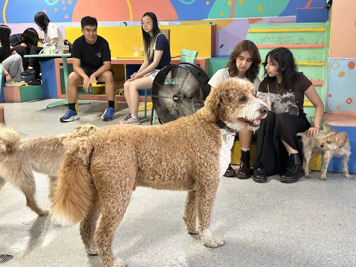 LE DOGGIE CAFE Picture 8