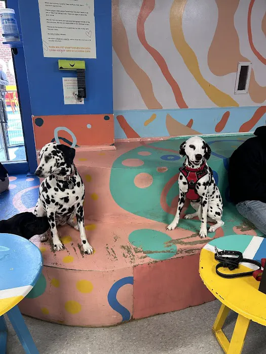 LE DOGGIE CAFE Picture 6