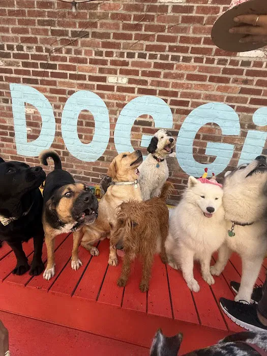 LE DOGGIE CAFE Picture 3